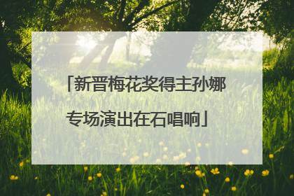 新晋梅花奖得主孙娜专场演出在石唱响